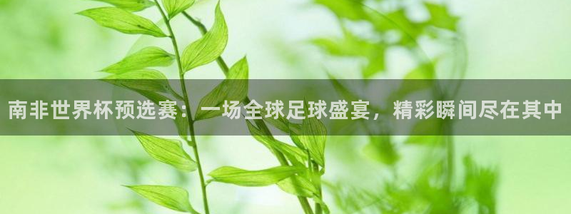 免费足球比赛直播高清:南非世界杯预选赛:一场全球足球盛宴,精彩瞬间尽在其中