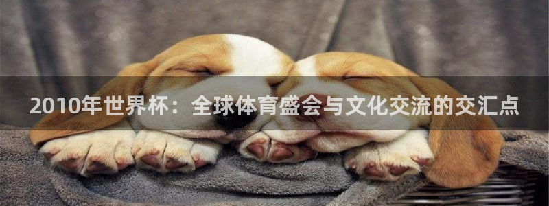 澳门世界杯直播:2010年世界杯:全球体育盛会与文化交流的交汇点