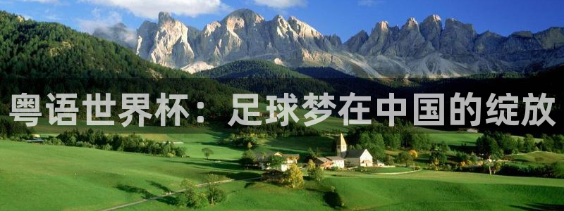 世界杯足球2026:粤语世界杯:足球梦在中国的绽放
