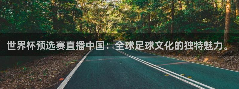 世界杯预选赛直播:世界杯预选赛直播中国:全球足球文化的独特魅力。