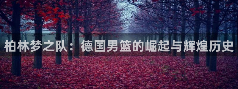 亚洲区世界杯预选赛:柏林梦之队:德国男篮的崛起与辉煌历史