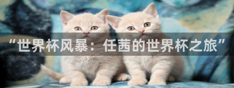 世界杯赛程2026:“世界杯风暴:任茜的世界杯之旅”