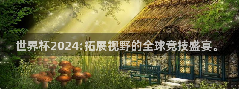 2026世界杯亚洲区预选赛:世界杯2024:拓展视野的全球竞技盛宴。
