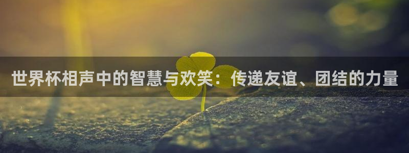 世界杯系列赛:世界杯相声中的智慧与欢笑:传递友谊、团结的力量
