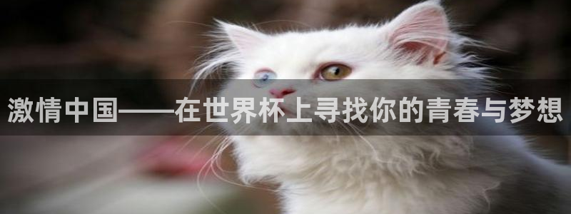 欧联杯直播:激情中国——在世界杯上寻找你的青春与梦想